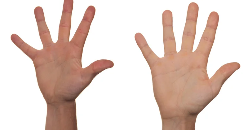 Et les "5P" ? Une variante floue qu'il faut utiliser avec prudence